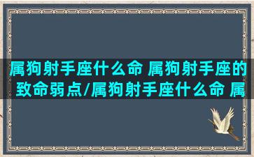 属狗射手座什么命 属狗射手座的致命弱点/属狗射手座什么命 属狗射手座的致命弱点-我的网站